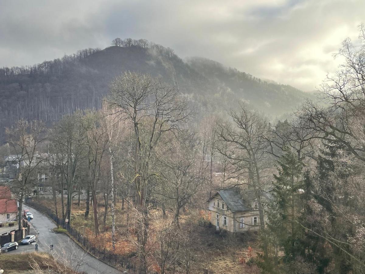 Schwalbennest Lägenhet Bad Harzburg Exteriör bild